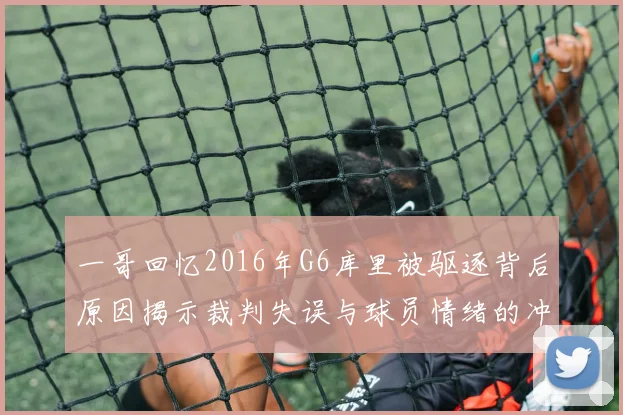 一哥回忆2016年G6库里被驱逐背后原因揭示裁判失误与球员情绪的冲突